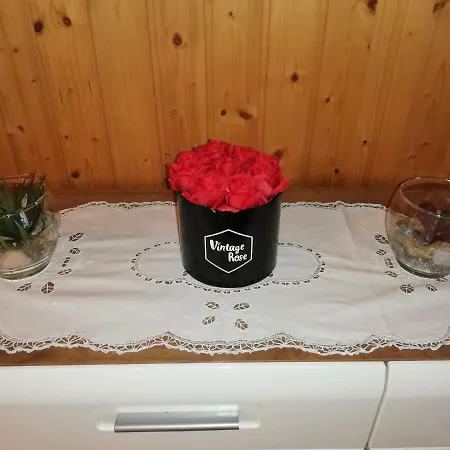 Schnider Holiday home