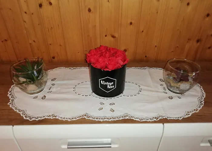 Schnider بيت للعطل